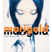 Τ/marigold[MOCR-3002]