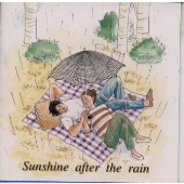 雨のち晴れ 雨のち晴れ