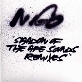 SHADOW OF THE APE SOUNDS REMIXES