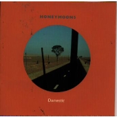 ドメスティック