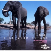 Kiss your dreams NHK「地球!ふしぎ大自然」サウンドトラック