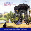 シューベルト:ピアノ三重奏曲 第1番&「ソナタ楽章」 シューベルト:ピアノ三重奏曲 第1番&「ソナタ楽章」