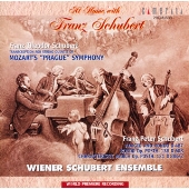 シューベルト家の音楽会 シューベルト家の音楽会