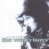 Live Adventures Of The Waterboys, The