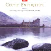 Celtic Experience Vol.1 (Haunting Themes From Scotland And Ireland)