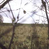 Cycle Of Days And Seasons, The