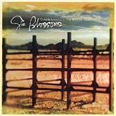 Gin Blossoms/Outside Looking In The Best Of The Gin Blossoms[490410]