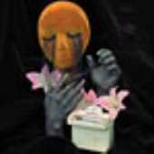 Human Hand Animal Band Human Hand Animal Band