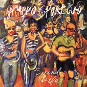 Second Life Second Life