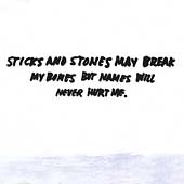 Sticks & Stones May Break My Bones