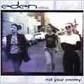 Not Your Enemy [Single]