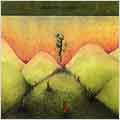 TOWER RECORDS ONLINE㤨Eluvium/Copia[TMPR531102]פβǤʤ2,591ߤˤʤޤ