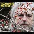 Diamonds to Dust