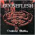 Chemical Garden