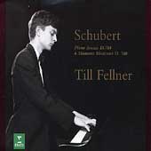 Schubert: PIano Sonata D784, & D780 / Fellner