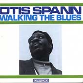 Walking The Blues Walking The Blues