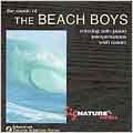 The Music Of The Beach Boys-Relaxing Solo Piano Interpretations With Nature