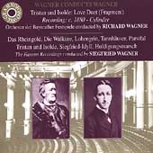 Wagner Conducts Wagner - Tristan und Isolde Love Duet, etc