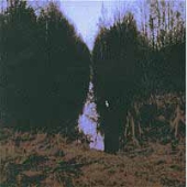 My Arms, Your Hearse