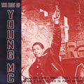 The Best Of Young M.C.