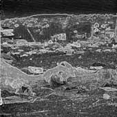 Knife Play Knife Play