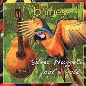 Silver Nuggets & Fool's Gold / David Burgess