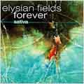 Elysian Fields Forever