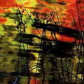 Ethos Musick Ethos Musick