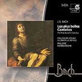 Bach Edition - Bach: Les plus belles Cantates / Herreweghe