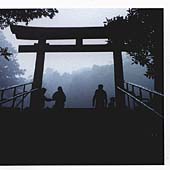 Spring Themes Spring Themes