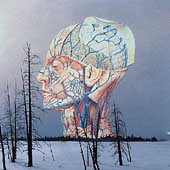 Songs For A Dead Pilot